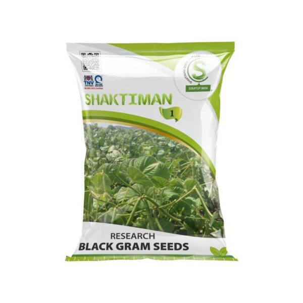 Research Black Gram Seeds 1