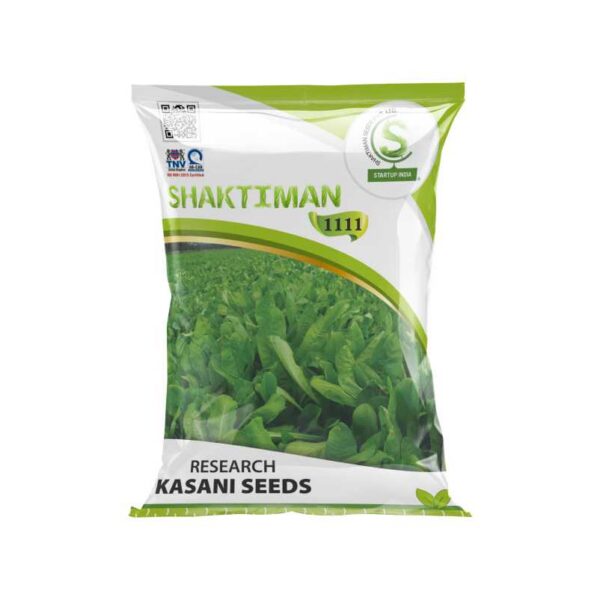 Research Kasani Seeds 1111