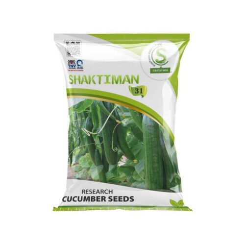 31.jpg Research Cucumber Seeds 31