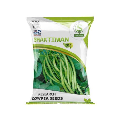 311.jpg Research Cowpea Seeds 311