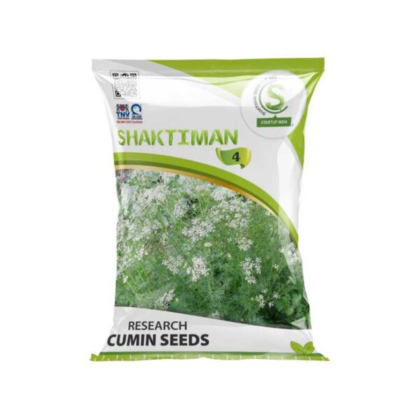 Research Cumin Seeds 4