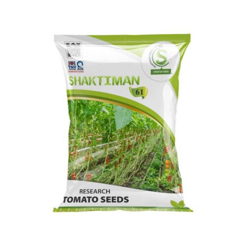 Research Tomato Seeds 61