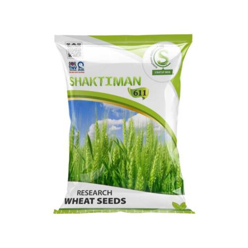 Research wheat seeds 611