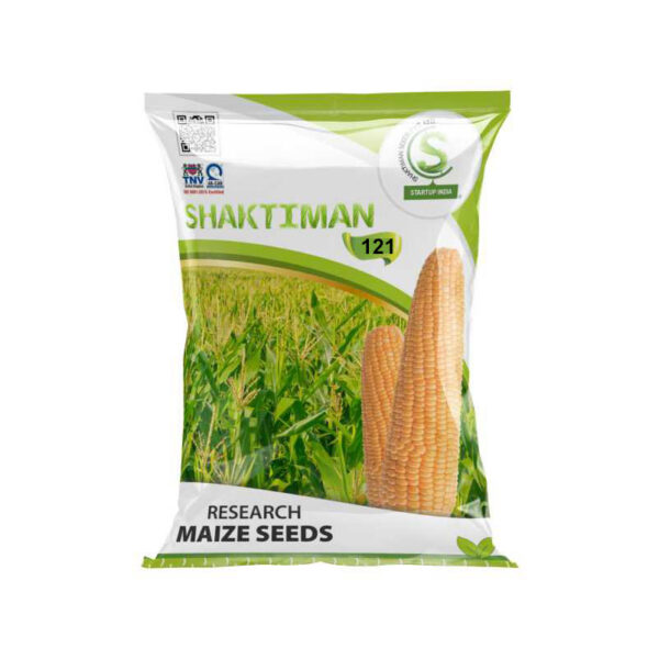 Research 121 Maize Seeds