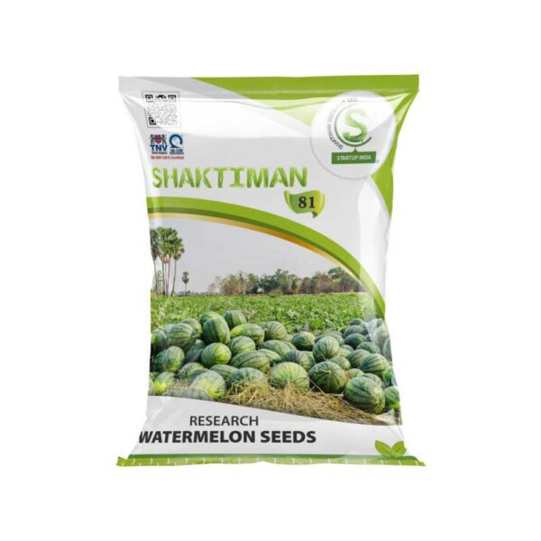 81.jpg Research Watermelon Seeds 81