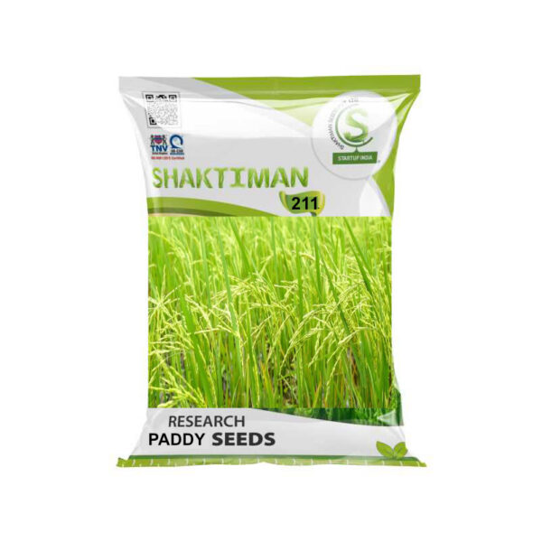 Research 211 Paddy Seeds