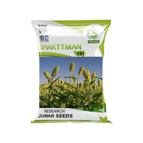 Research 151 Juwar Seeds