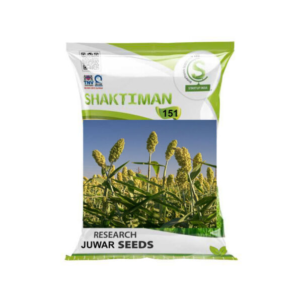 Research 151 Juwar Seeds