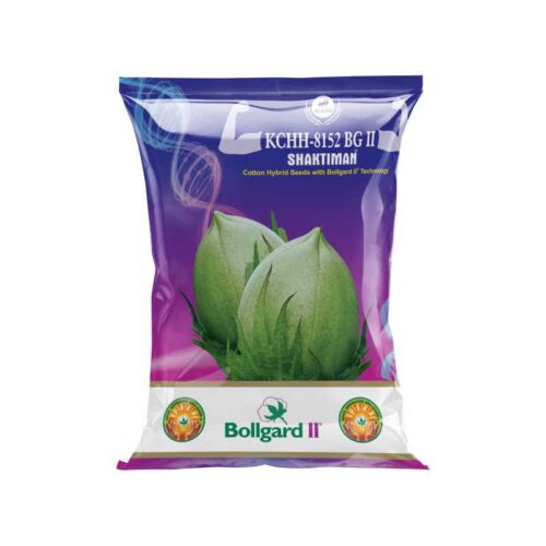 Cotton Hybrid Seeds With Bollgard KCHH-8152 BGII