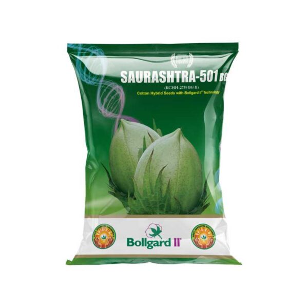 Cotton Hybrid Seeds With Bollgard SAURASHTRA-501 BG
